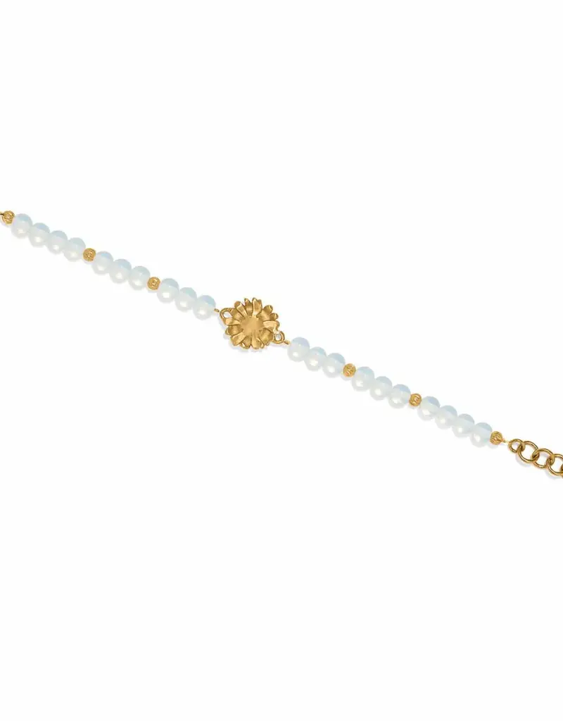 Daisy Dee Bracelet in Gold