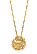 Daisy Dee Necklace in Gold
