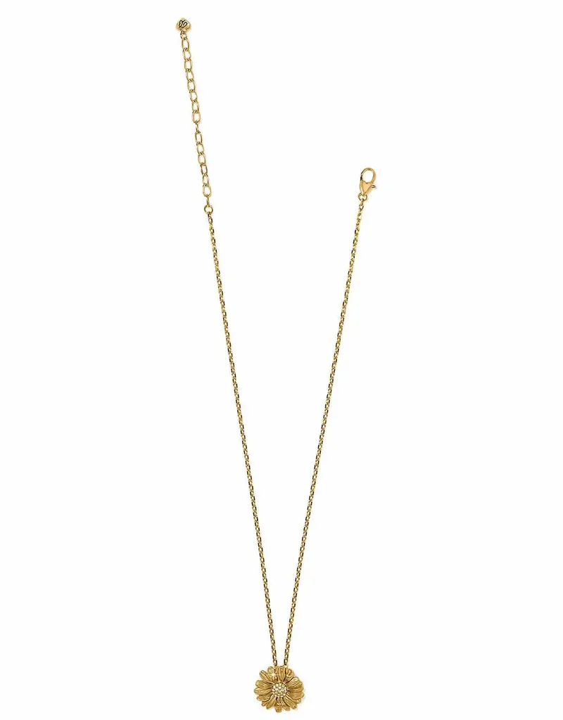 Daisy Dee Necklace in Gold