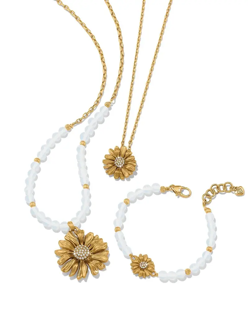 Daisy Dee Necklace in Gold