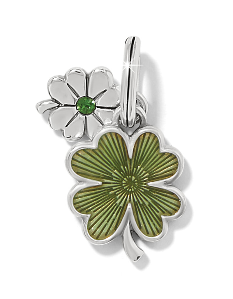 Double Shamrock Charm