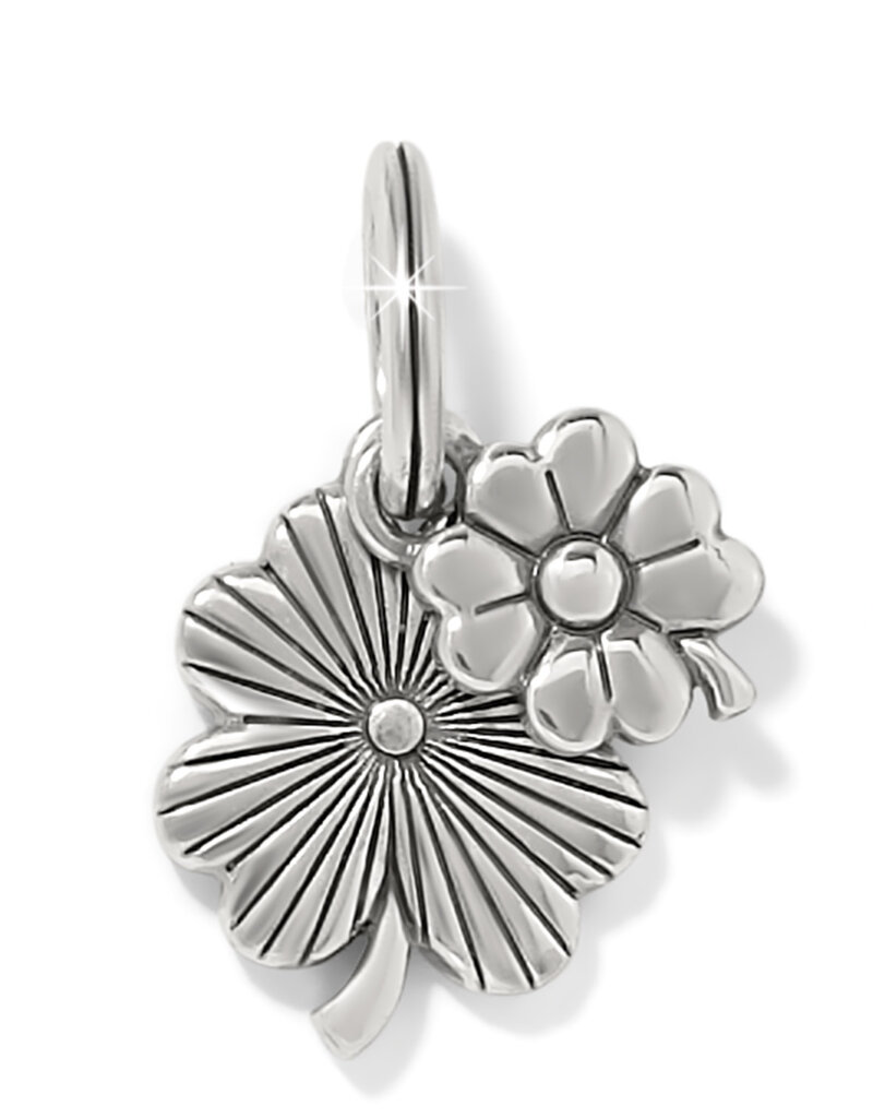 Double Shamrock Charm