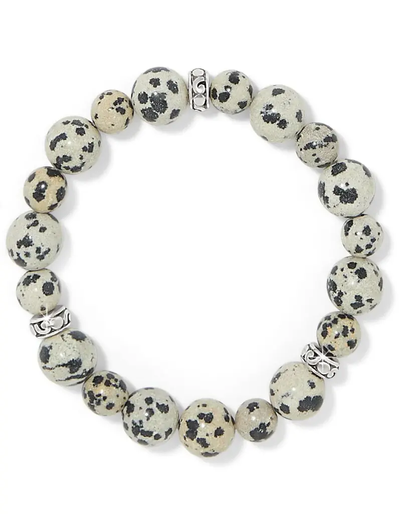 Contempo Zoic Stretch Bracelet