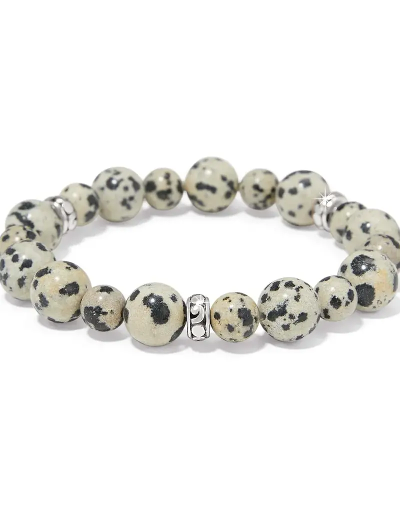 Contempo Zoic Stretch Bracelet