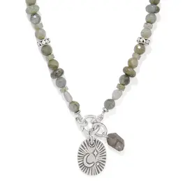 Token Charm Labradorite Necklace