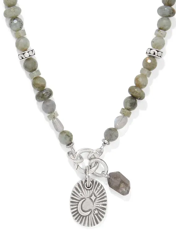 Token Charm Labradorite Necklace