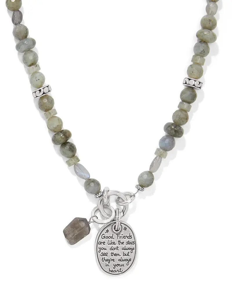 Token Charm Labradorite Necklace