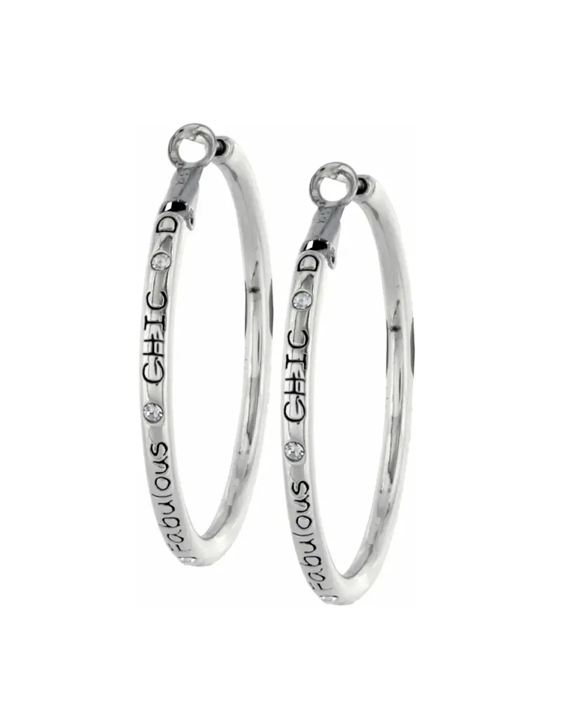 Fashionista Hoop Earrings