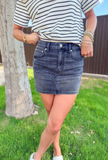 J.HOFFMAN'S Malibu Mid Rise Mini Skirt- Spade