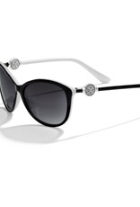 Ferrara Sunglasses