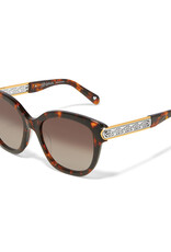 Intrigue Amber Sunglass