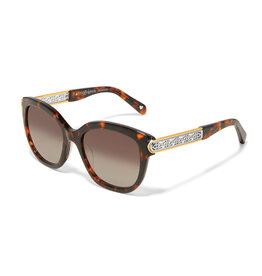 Intrigue Amber Sunglass