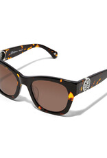 Contempo Medallion Sunglasses