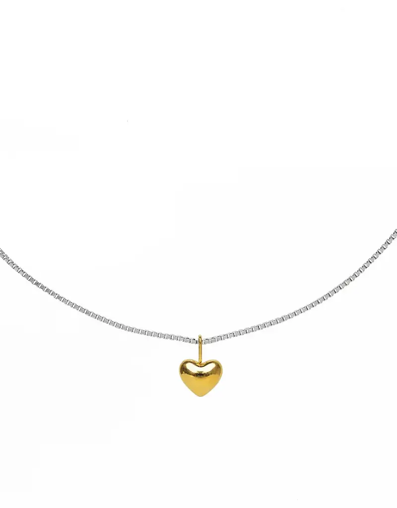 J.HOFFMAN'S *From Texas, For Texas* Dainty Heart Necklace- Two Tone