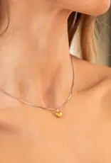 J.HOFFMAN'S *From Texas, For Texas* Dainty Heart Necklace- Two Tone