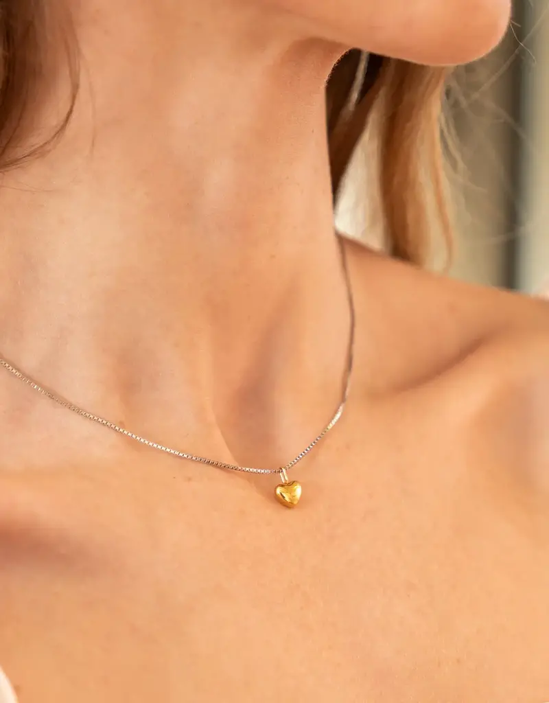 J.HOFFMAN'S *From Texas, For Texas* Dainty Heart Necklace- Two Tone