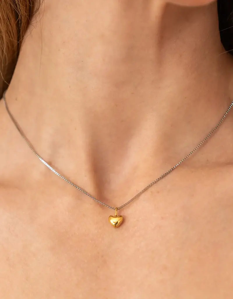 J.HOFFMAN'S Dainty Heart Necklace- Two Tone