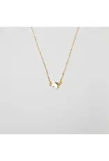 J.HOFFMAN'S *From Texas, For Texas* Texas Mini Necklace