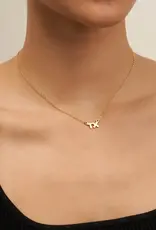 J.HOFFMAN'S *From Texas, For Texas* TX Initial Necklace- 24k gold