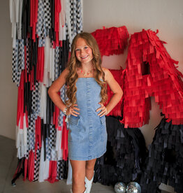 J.HOFFMAN'S Denim Tube Mini Dress