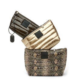 THINK ROYLN Travel Trio in Python