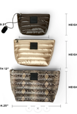 THINK ROYLN Travel Trio in Python