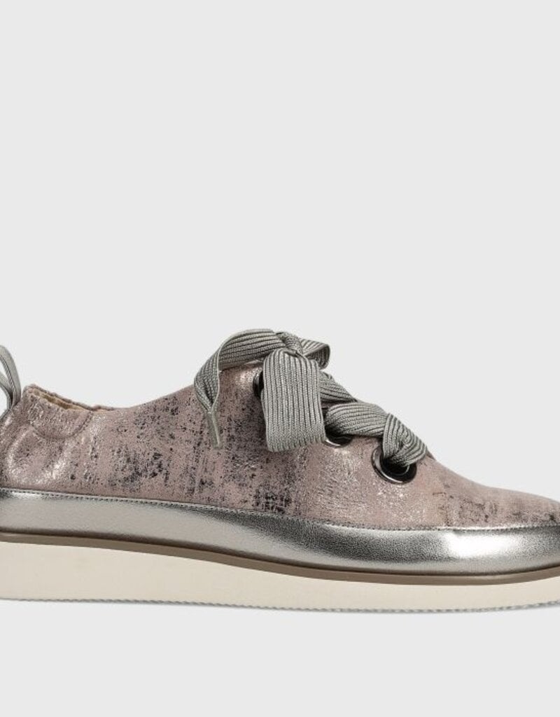 J.HOFFMAN'S Quenda Sneaker- Opal Naemi