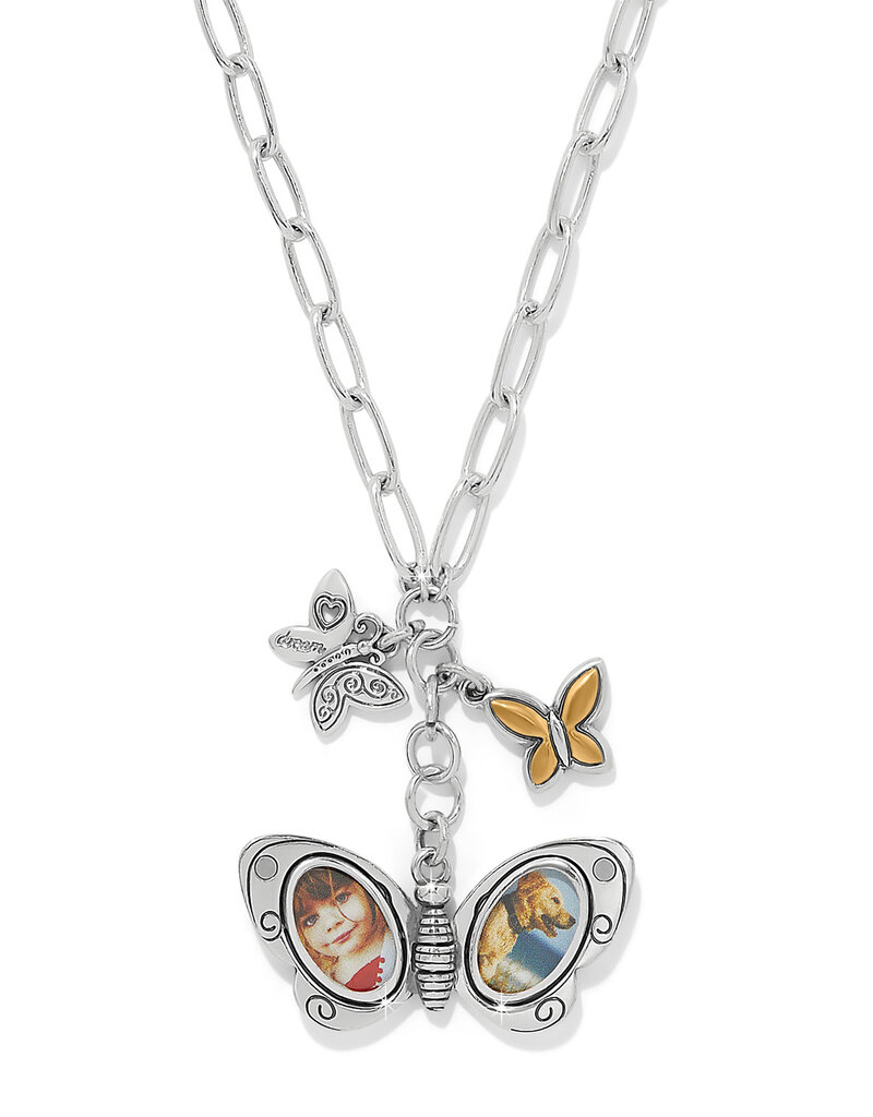 Forever Butterfly Locket Necklace