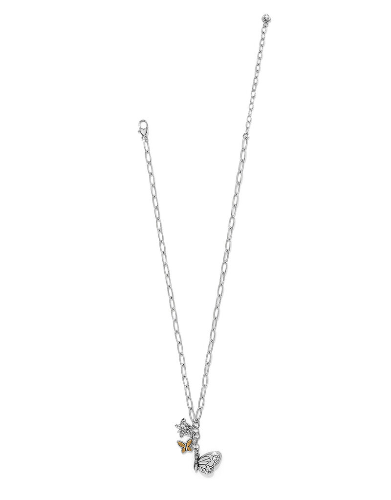 Forever Butterfly Locket Necklace