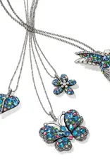 Trust Your Journey Blues Hummingbird