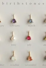 J.HOFFMAN'S FYB Birthstone Charms