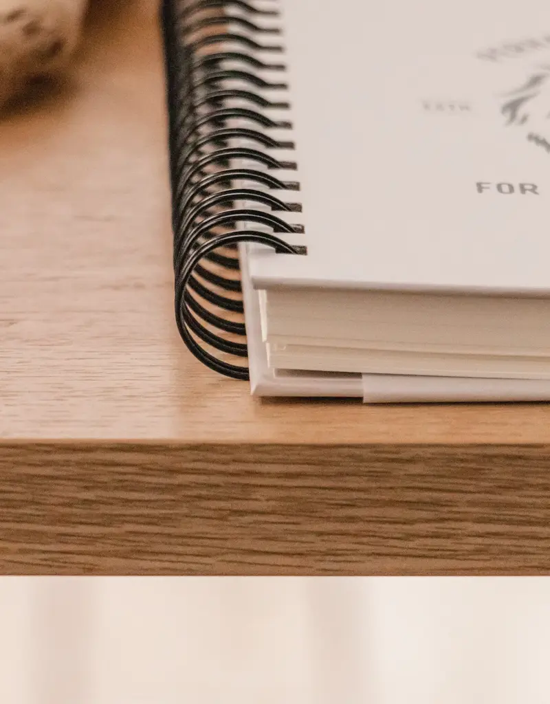 J.HOFFMAN'S Such A TIme As This Esther Lion Hardcover Journal