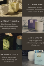 KENDRA SCOTT Tumbler Candle 10oz- Jade Grove