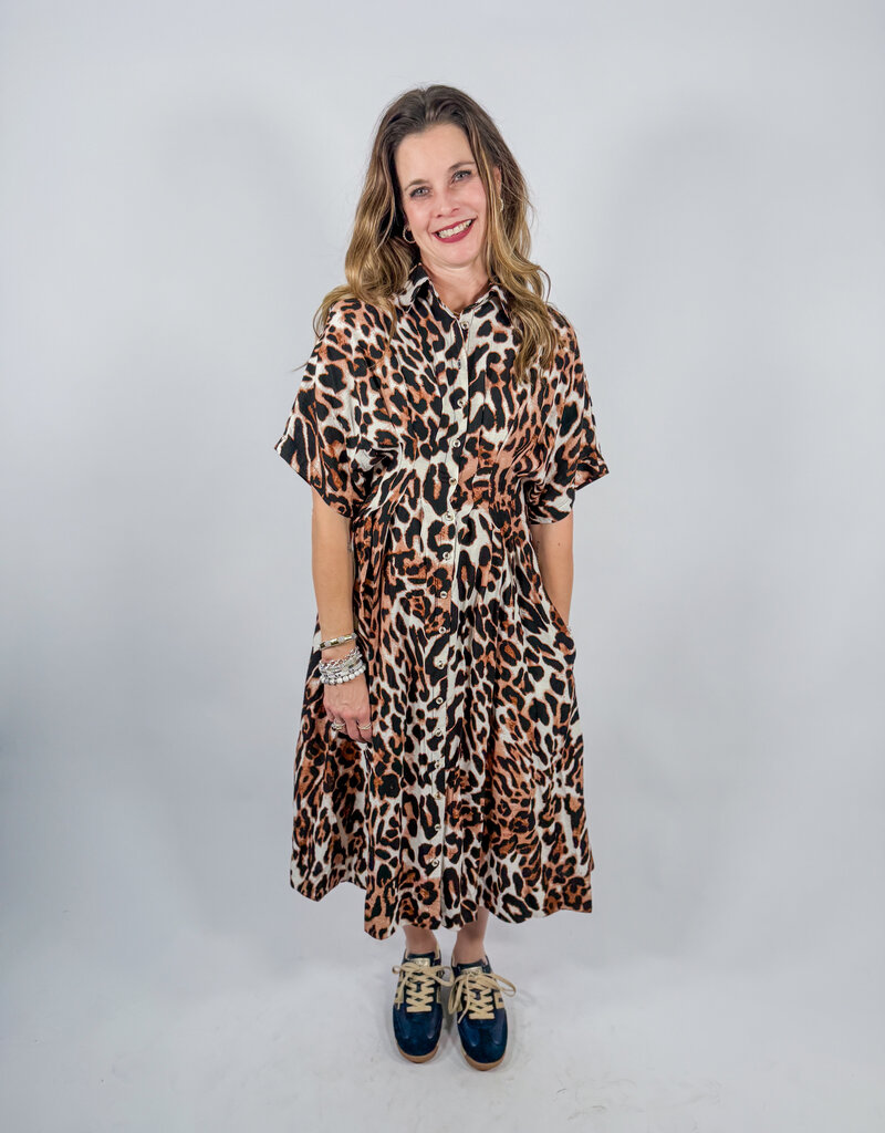 J.HOFFMAN'S Tumblecat Dress