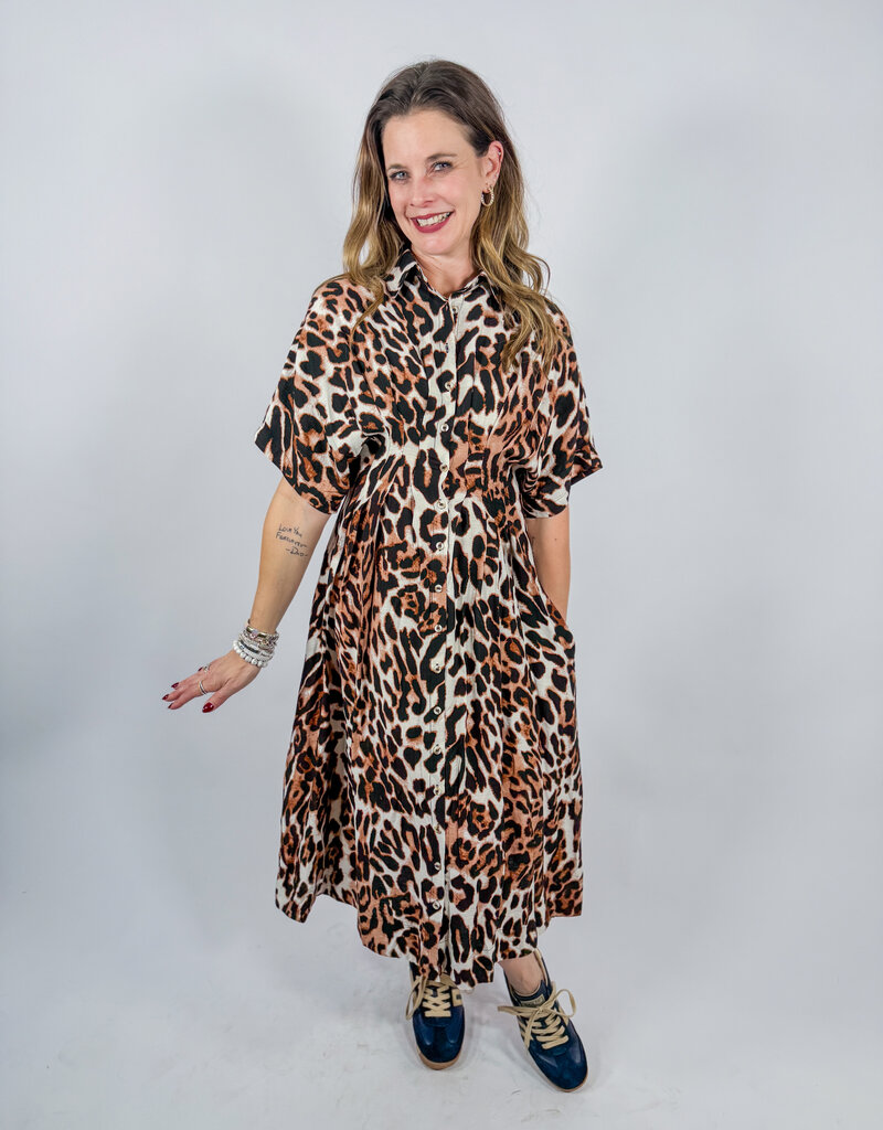 J.HOFFMAN'S Tumblecat Dress