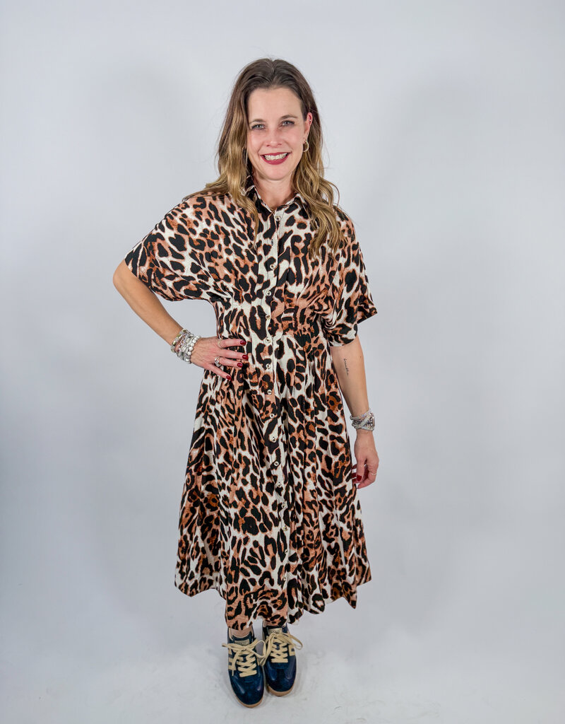 J.HOFFMAN'S Tumblecat Dress