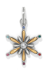 Twilight Shine Hues Charm