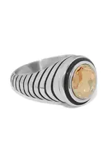 Meridian Aurora Ring in Golden  Shadow