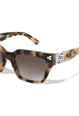 Contempo Dot Sunglasses