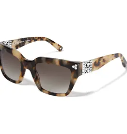 Contempo Dot Sunglasses