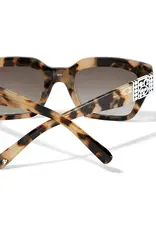 Contempo Dot Sunglasses
