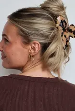 J.HOFFMAN'S Oversized Claw- Spotted Tortoise