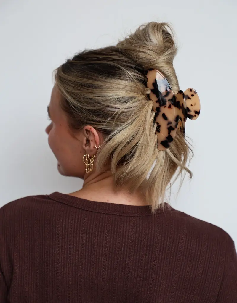 J.HOFFMAN'S Oversized Claw- Spotted Tortoise