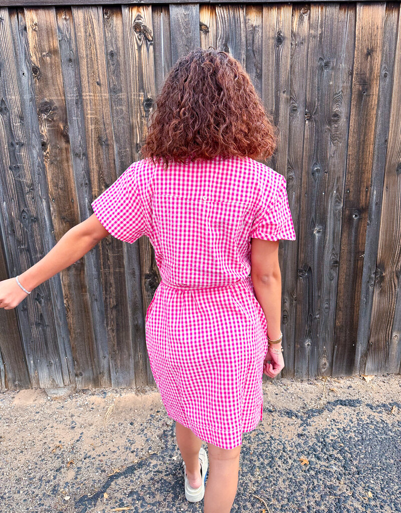 J.HOFFMAN'S Dominga Dress- Pink Check