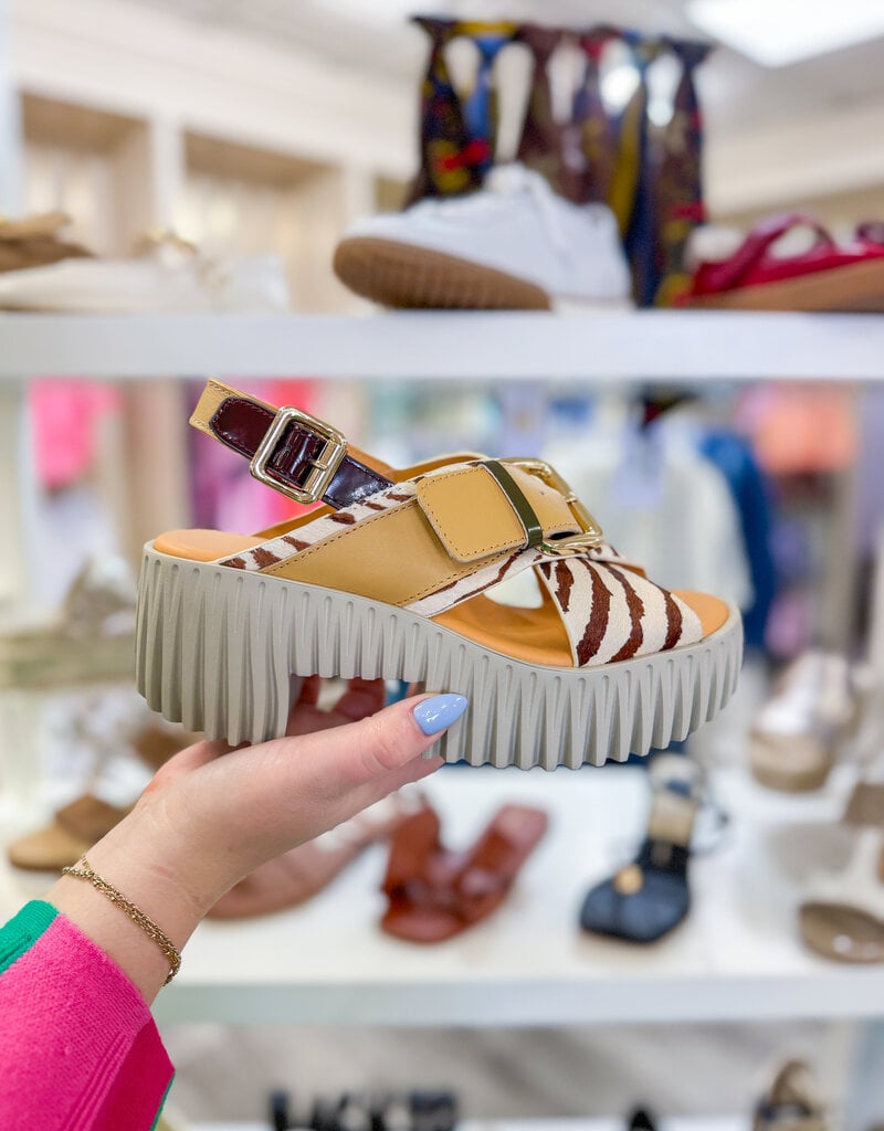 J.HOFFMAN'S Plia Juno Platform Sandal - Zebra Mix