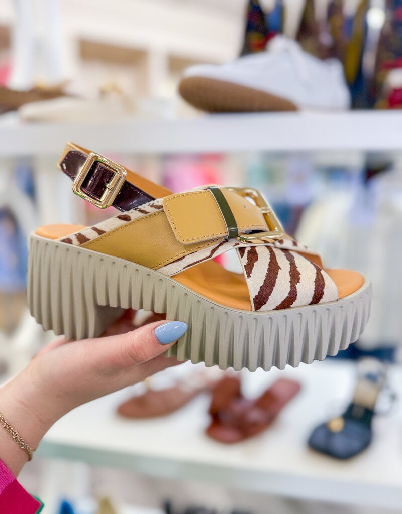 J.HOFFMAN'S Plia Juno Platform Sandal - Zebra Mix