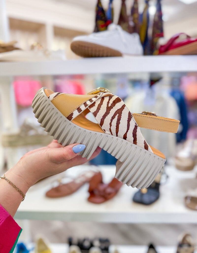 J.HOFFMAN'S Plia Juno Platform Sandal - Zebra Mix