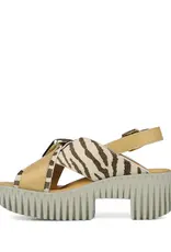 J.HOFFMAN'S Plia Juno Platform Sandal - Zebra Mix