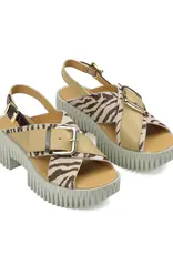 J.HOFFMAN'S Plia Juno Platform Sandal - Zebra Mix