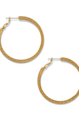 Meridian Eclipse Large Hoop in Gold
